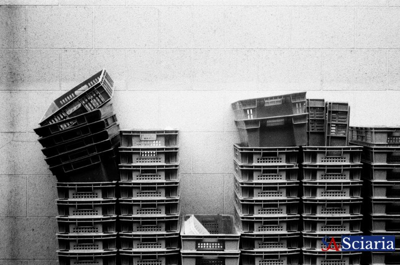 Adaptive Reuse: Architecture's Second Act for a Sustainable Future