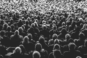 Are You Just a Colony? The Intriguing Biology of Collective Identity
