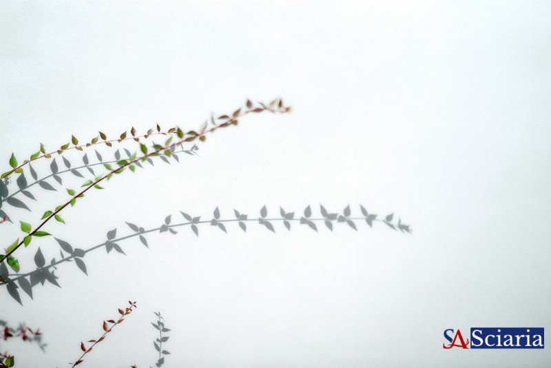 Beyond DNA: How Your Lifestyle Actively Rewrites Your Genetic Story