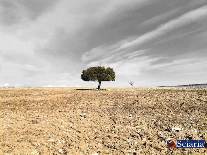 Beyond DRY: Embracing Strategic Duplication for Better Code