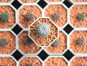 Beyond Silicon: How Living Materials Are Engineering Our Sustainable Bio-Future
