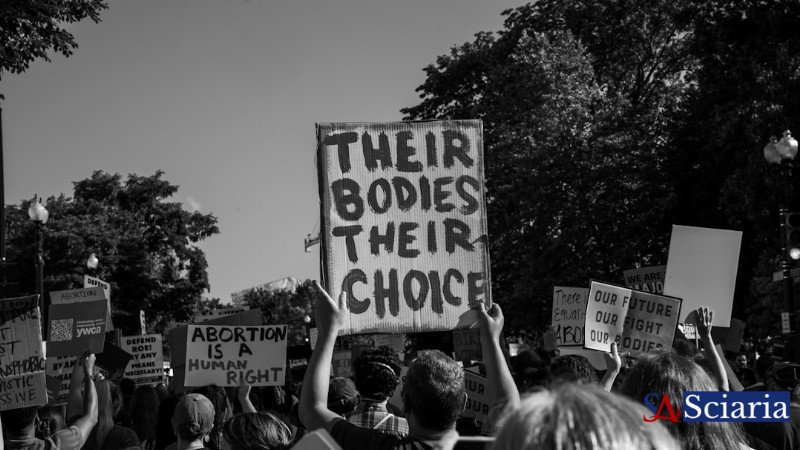 Beyond the Ballot: How Everyday Actions Strengthen Democracy