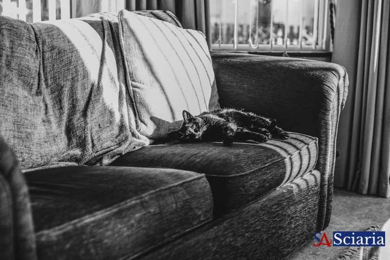 Beyond the Couch: Unlocking Micro-Moments of Therapy in Your Everyday Life