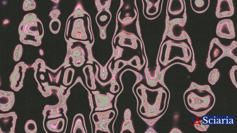 Beyond the Genes: Unveiling the Secrets of Your Genome's Dark Matter