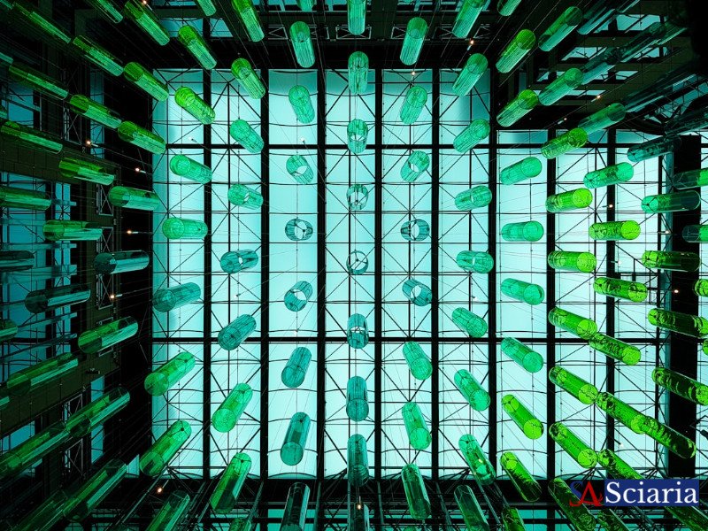 Big Data's Unintended Consequence: Navigating the Echo Chamber