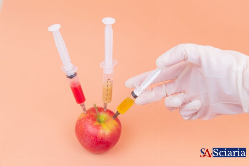 Biohacking & Traditional Medicine: Allies or Adversaries in Health?