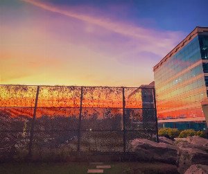 Boundary Battles: When Your Property Line Becomes a Legal Front