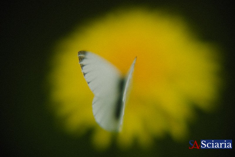 Digital Air: The Invisible Force Reshaping Our Lives