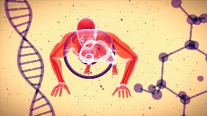 Life's Grand Algorithm: Is Biology a Program We Can Decode?