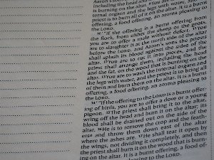 Reclaiming Our Humanity: The Right to Be Ordinary in a Hyper-Connected World