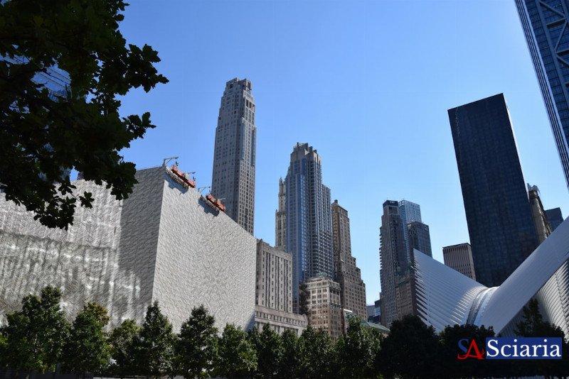 Rewilding the Metropolis: Nature's Unexpected Urban Comeback