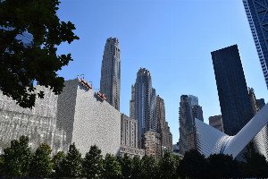 Rewilding the Metropolis: Nature's Unexpected Urban Comeback