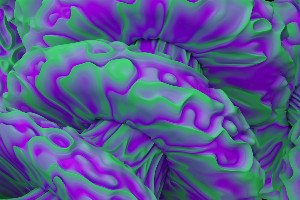 The Brain's Ultimate Illusionist: How Your Mind Crafts Your Reality