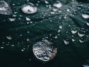 The Earth's Perfume: Decoding the Mystical Scent of Rain (Petrichor and Beyond)