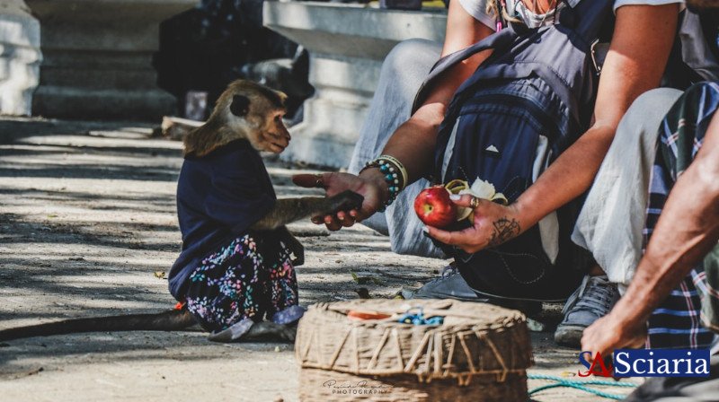 The Empathy Economy: Where Our Humanity Becomes Our Greatest Asset