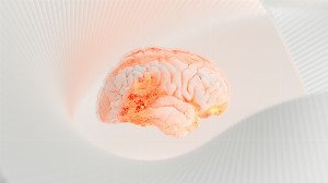 The Hidden Hunger: Decoding Your Cells' Real Nutritional Cravings