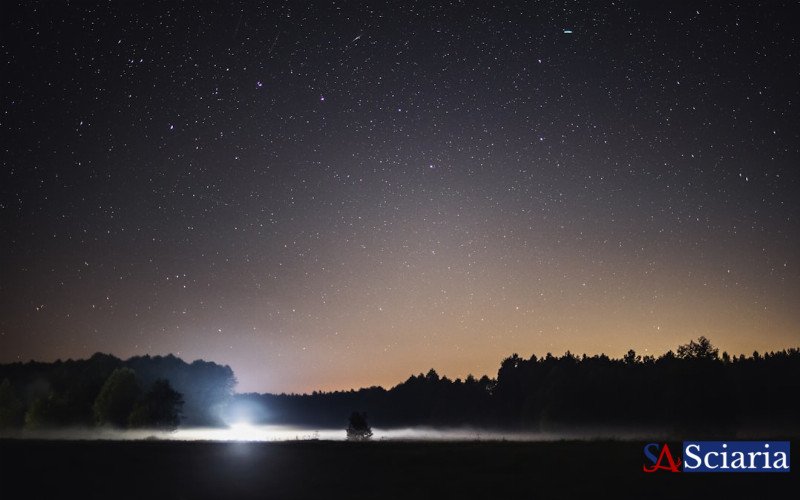 The Quiet Crisis: How Light Pollution Harms Ecosystems Beyond The Stars