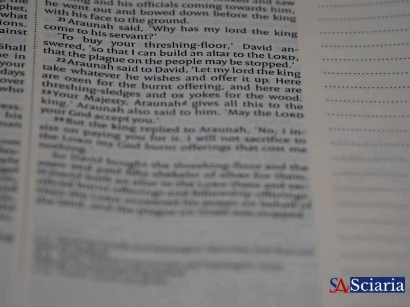 The Silent Architect: How Culture Shapes Every Choice You Make