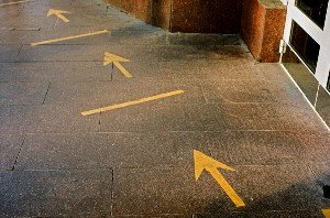 The Unexpected Geometry of Your Decisions: A Mathematical Exploration