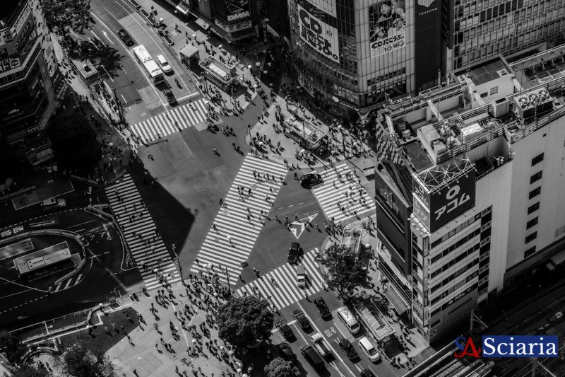 The Unseen Architect: Building Meaning from Digital Chaos