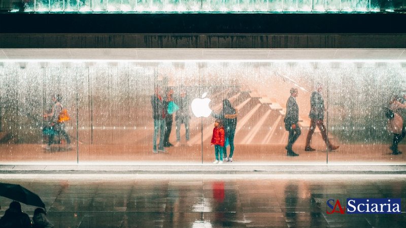 The Unseen Pillars: How Cryptography Forges Digital Trust
