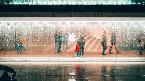 The Unseen Pillars: How Cryptography Forges Digital Trust