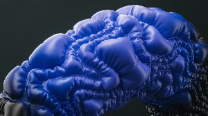 Unlock Your Brainpower: Mastering Brain Ergonomics for Ultimate Focus & Flow