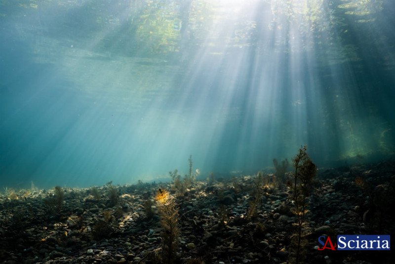 Worlds Within Worlds: Exploring the Deep Sea Brine Lakes