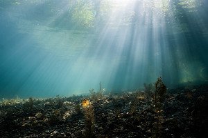 Worlds Within Worlds: Exploring the Deep Sea Brine Lakes