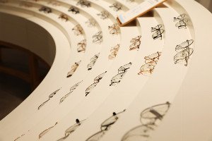 Your DNA's Ancient Story: Unlocking Health Clues from Your Genetic Time Capsule