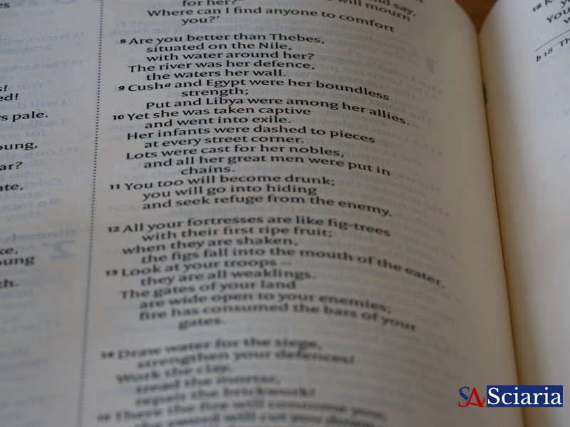 Your Grammar Isn't 'Wrong': The Linguistic Truth Behind Language